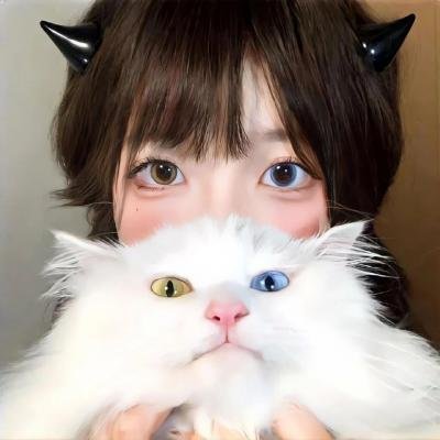 小生护驾 封面