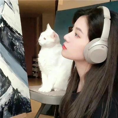 纪录片